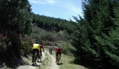 Centros de BTT, Pia do Urso - P.6