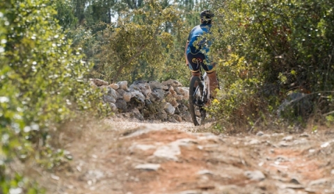 MTB CENTERS, PIA DO URSO - P.4