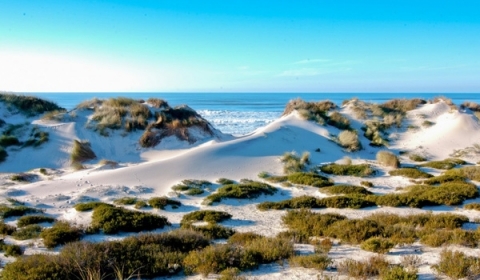 Praia do Osso da Baleia, POMBAL