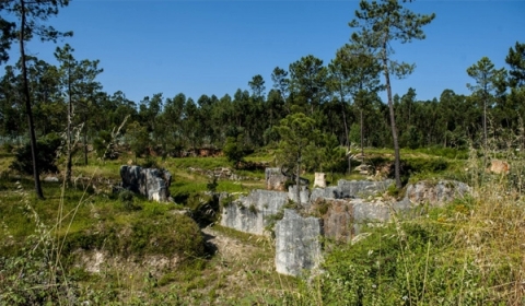 Pedreiras do Moimento, FÁTIMA