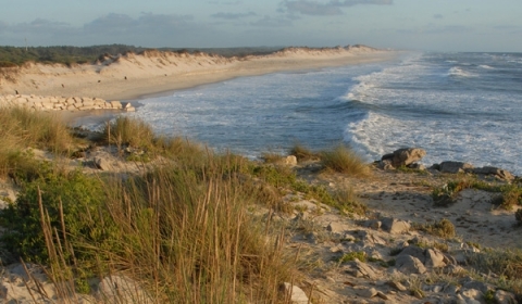 Praia do Pedrógão, LEIRIA