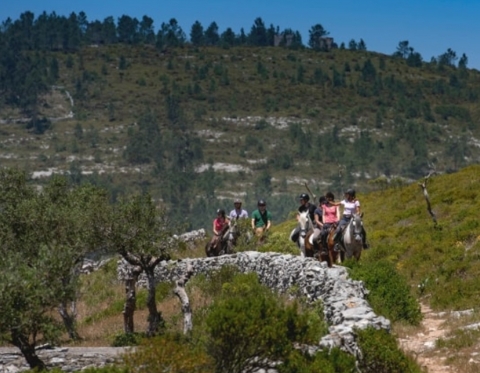 IN NATURE - HORSE RIDE