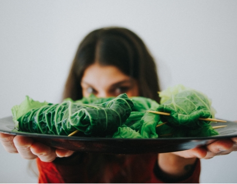 SABORES DA TERRA - ALIMENTAÇÃO 100% VEGETAL