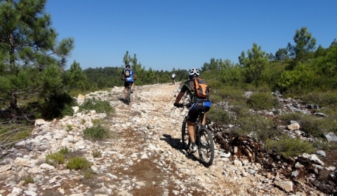 Centros de BTT, Pia do Urso - P.3