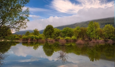 Polje de Mira-Minde